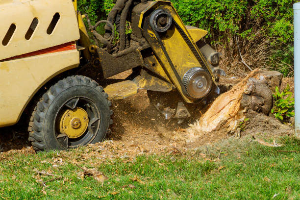 Landscape Design and Installation in Lone Tree, IA